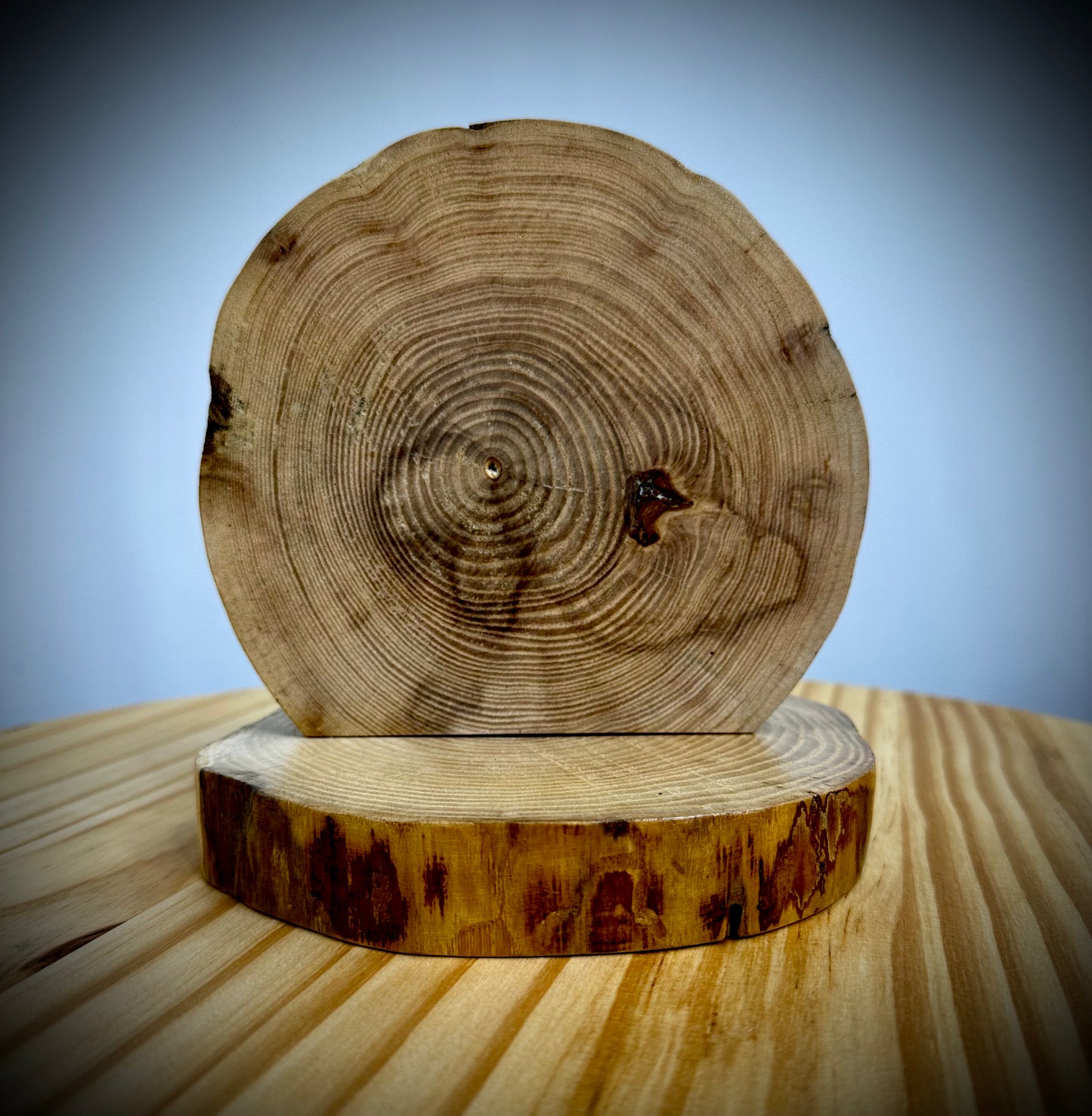 Rustic Wood Centerpiece Blank - Approx 6in Dia. - No Inlay - 1002NIRWC