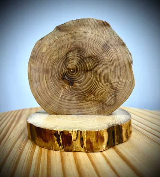 Rustic Wood Centerpiece Blank - Approx 6in Dia. - No Inlay - 1003NIRWC