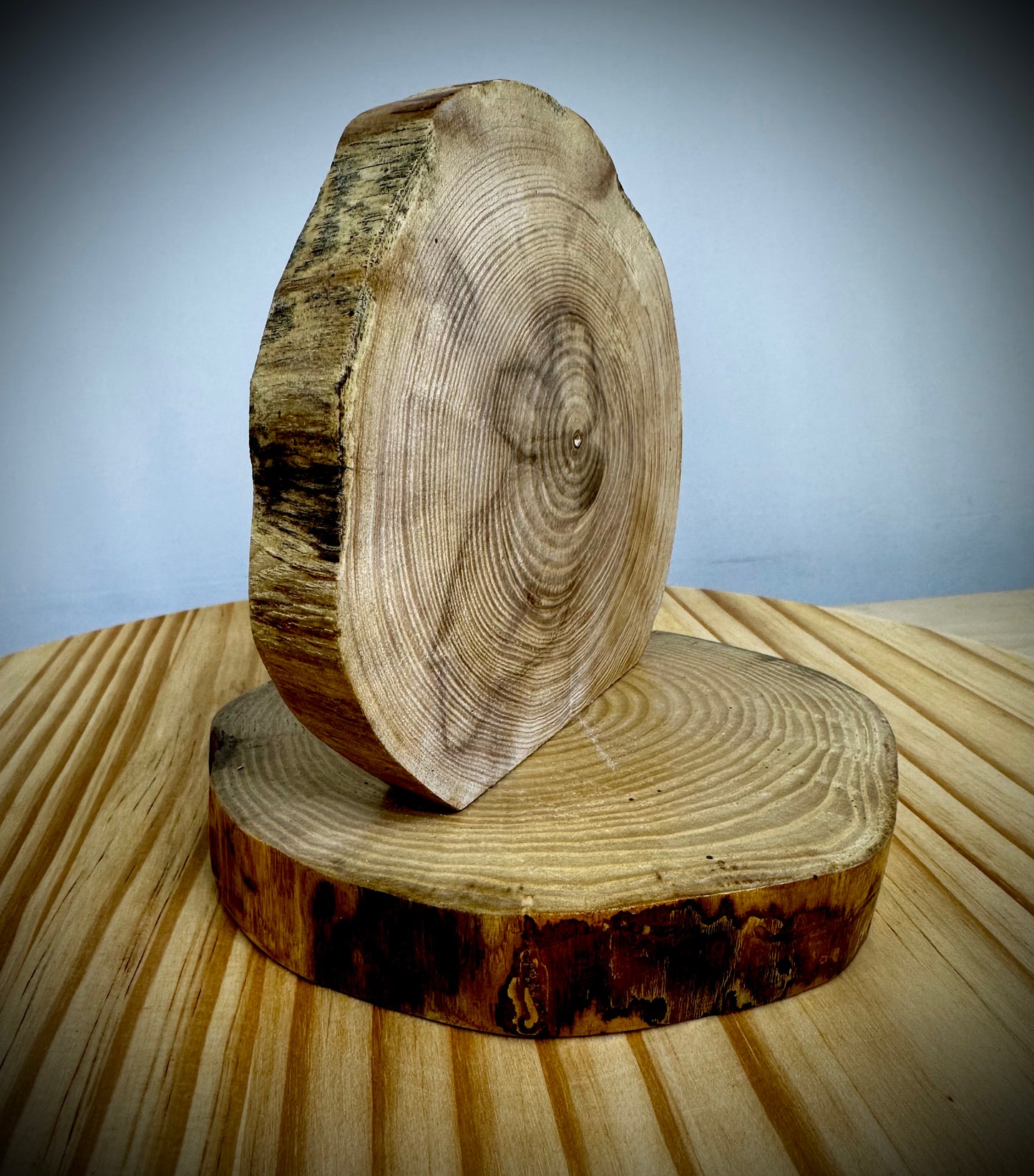 Rustic Wood Centerpiece Blank - Approx 6in Dia. - No Inlay - 1003NIRWC