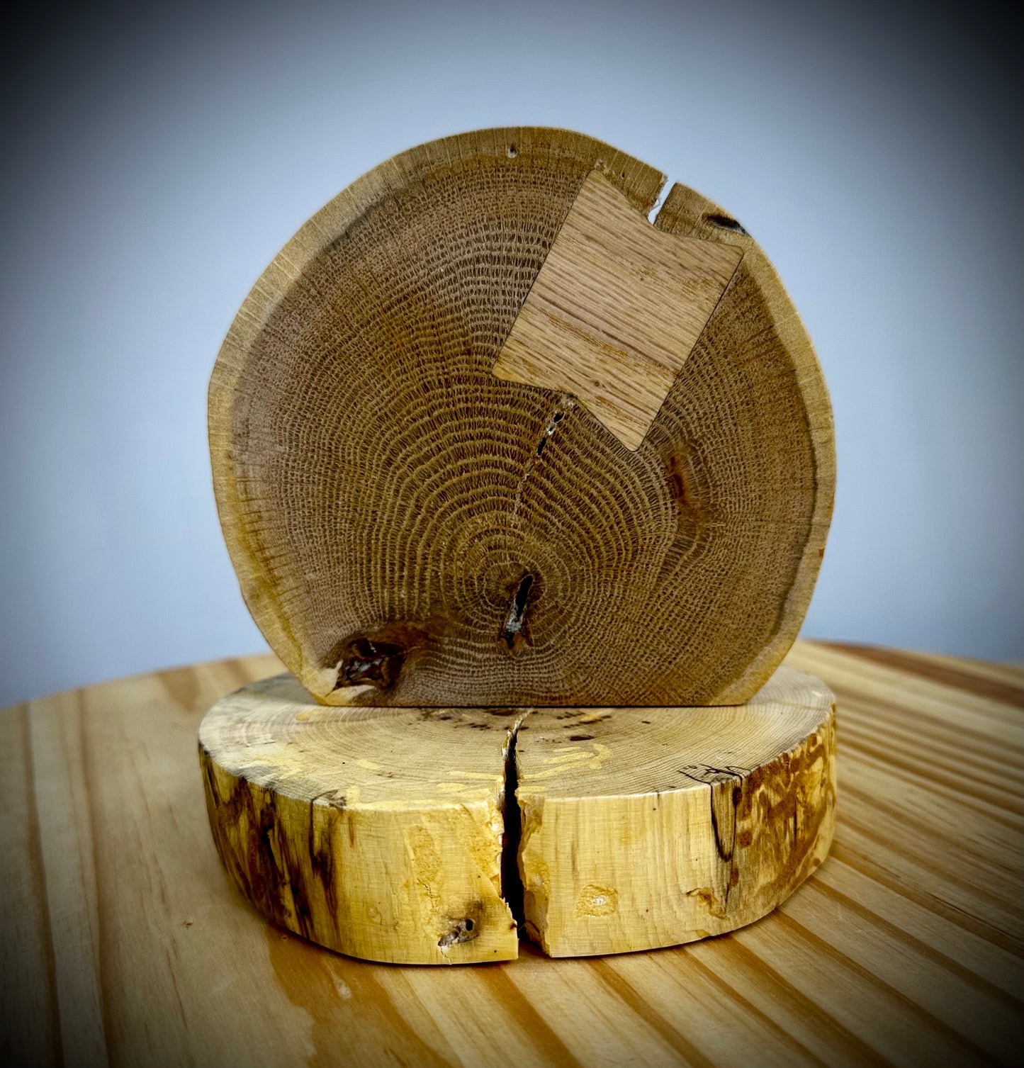 Rustic Wood Centerpiece Blank - Approx 6in Dia. - Bow Tie Inlay - 2003INLAYRWC