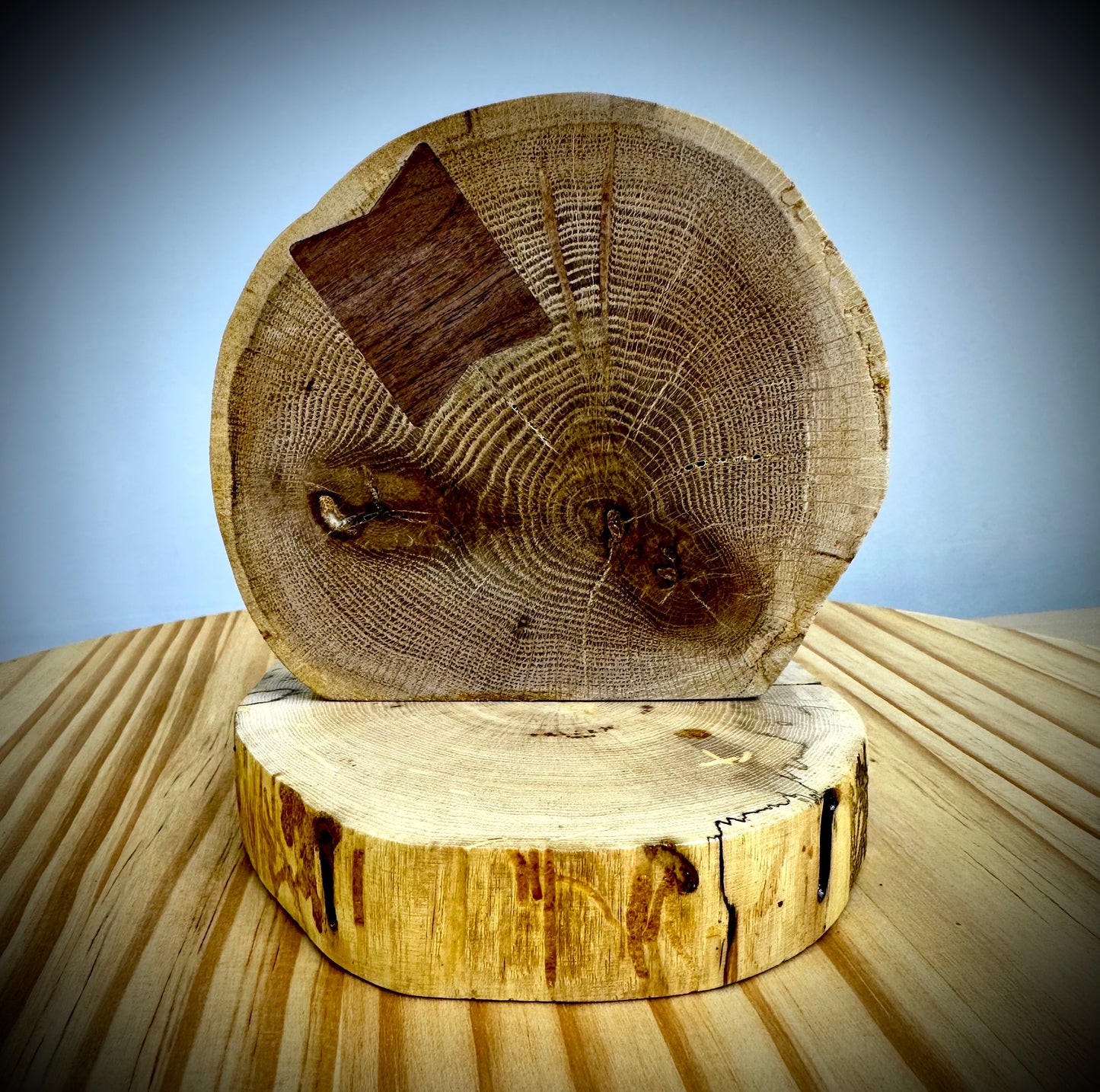 Rustic Wood Centerpiece Blank - Approx 6in Dia. - Bow Tie Inlay - 2004INLAYRWC